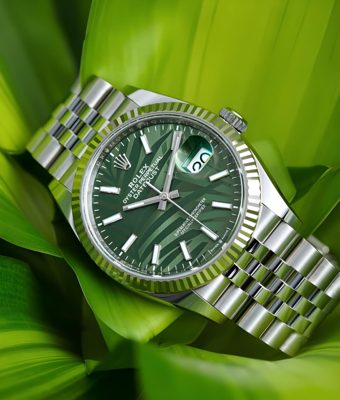Rolex Datejust 36 with a Green Palm Motif Dial.